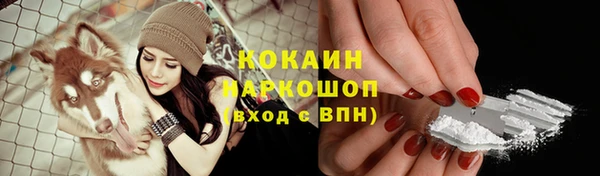 прущие грибы Пролетарск
