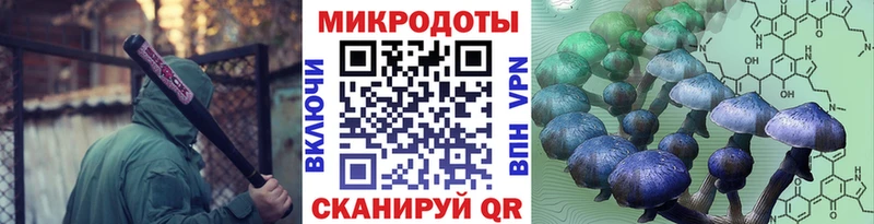 Купить  Чаплыгин  Галлюциногенные грибы прущие грибы 